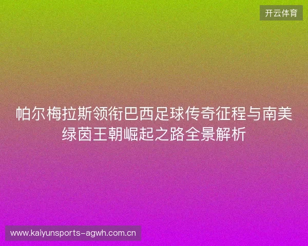 帕尔梅拉斯领衔巴西足球传奇征程与南美绿茵王朝崛起之路全景解析 帕尔梅拉斯领衔巴西足球传奇征程与南美绿茵王朝崛起之路全景解析