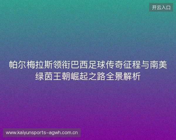 帕尔梅拉斯领衔巴西足球传奇征程与南美绿茵王朝崛起之路全景解析 帕尔梅拉斯领衔巴西足球传奇征程与南美绿茵王朝崛起之路全景解析
