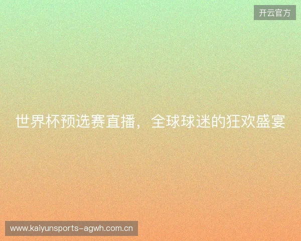 世界杯预选赛直播，全球球迷的狂欢盛宴